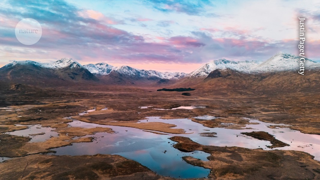 New Wetland Maps Created Using Machine Learning