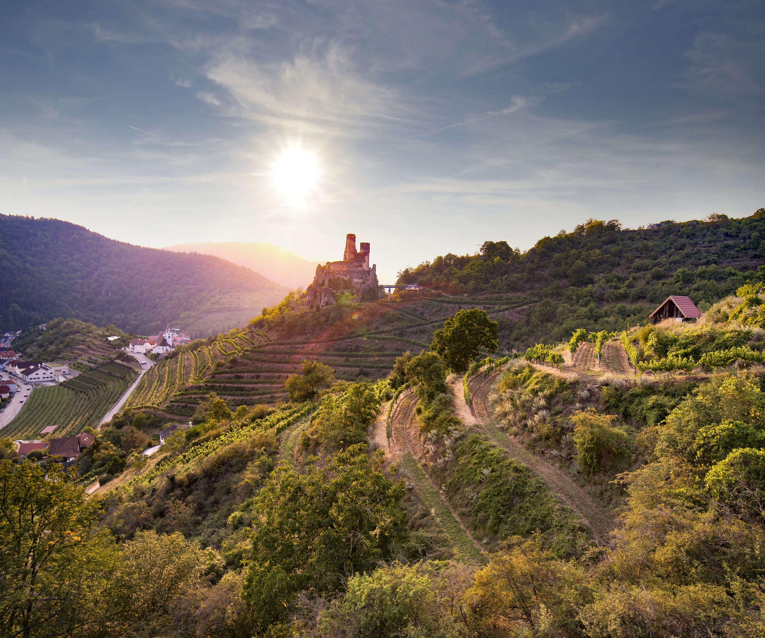 Weinberge von Niederösterreich präsentieren Vielfalt bei den Global Wine Masters