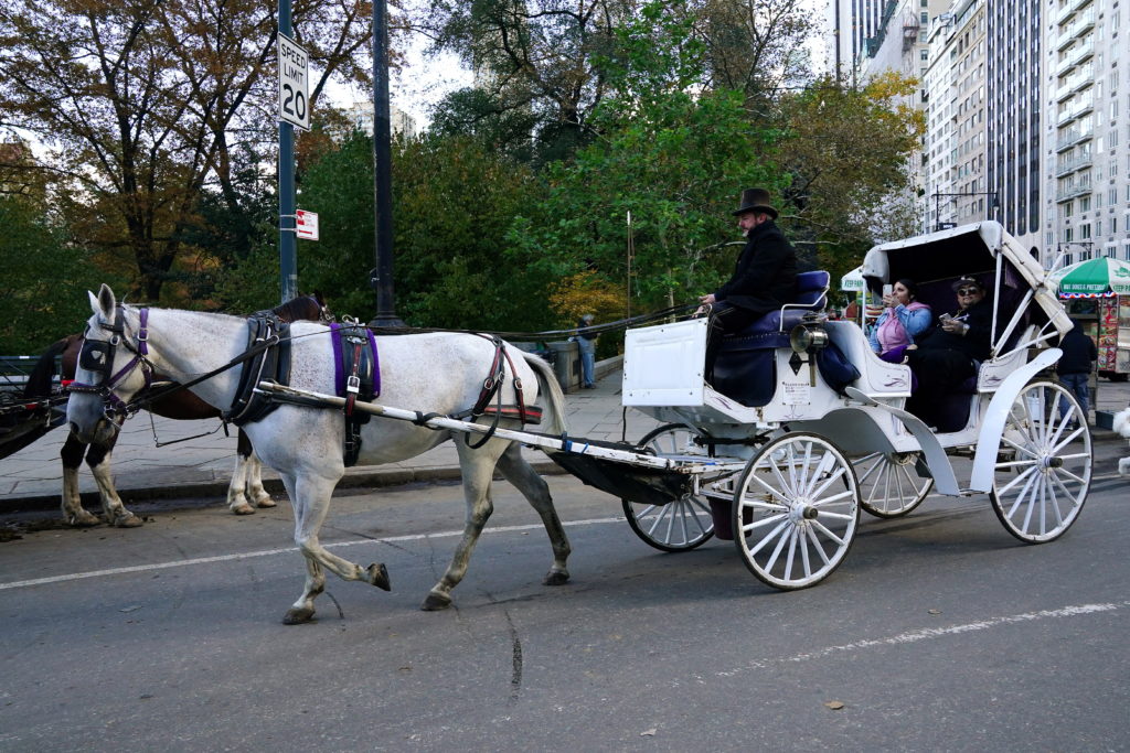 NYC to Ban Central Park Horse-Drawn Carriages Following Teen's Death