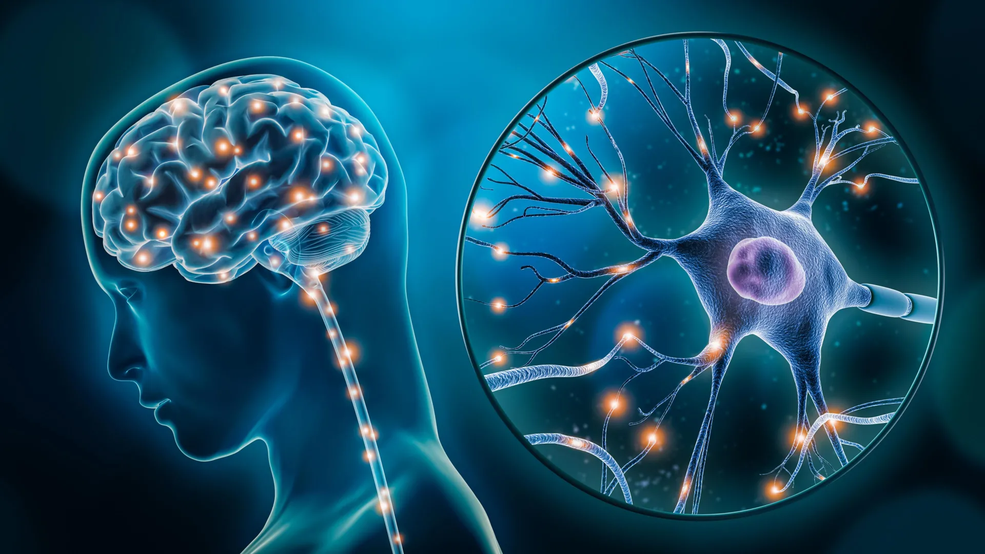 Estudio revela que Ozempic activa las neuronas del hambre