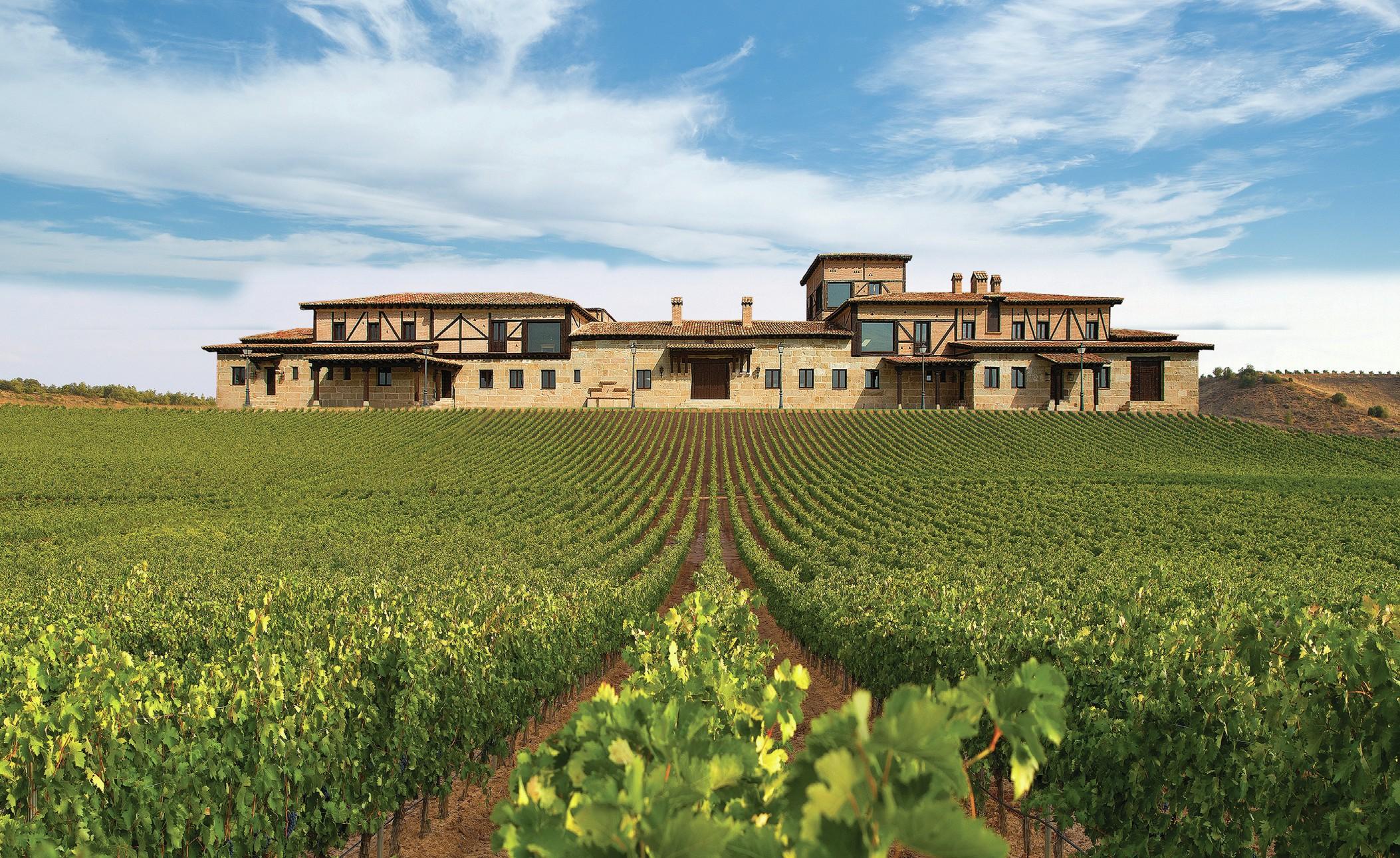 Pata Negra Brand Offers Broad Range of Spanish Wines