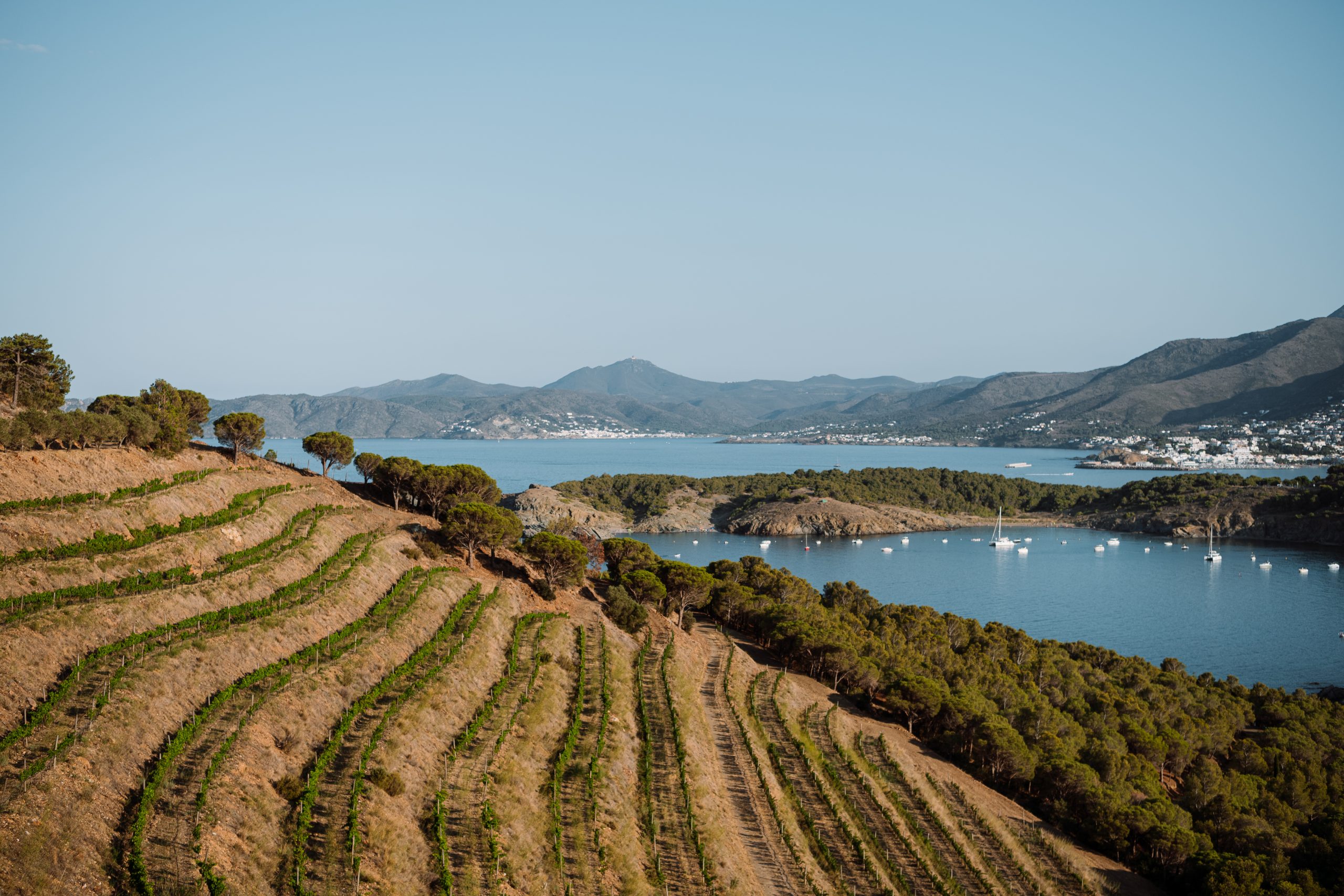 Perelada & Celler del Pescador Weingüter Erhalten Klimazertifizierung