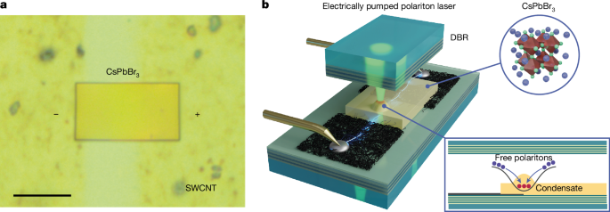 Perowskit-Polariton-Laserdiode Erreicht Betrieb mit Gleichstrom