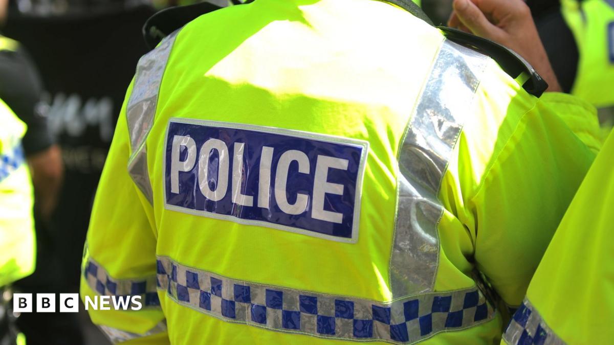 警方在針對疑似有組織犯罪集團的突擊搜查中逮捕 17 人