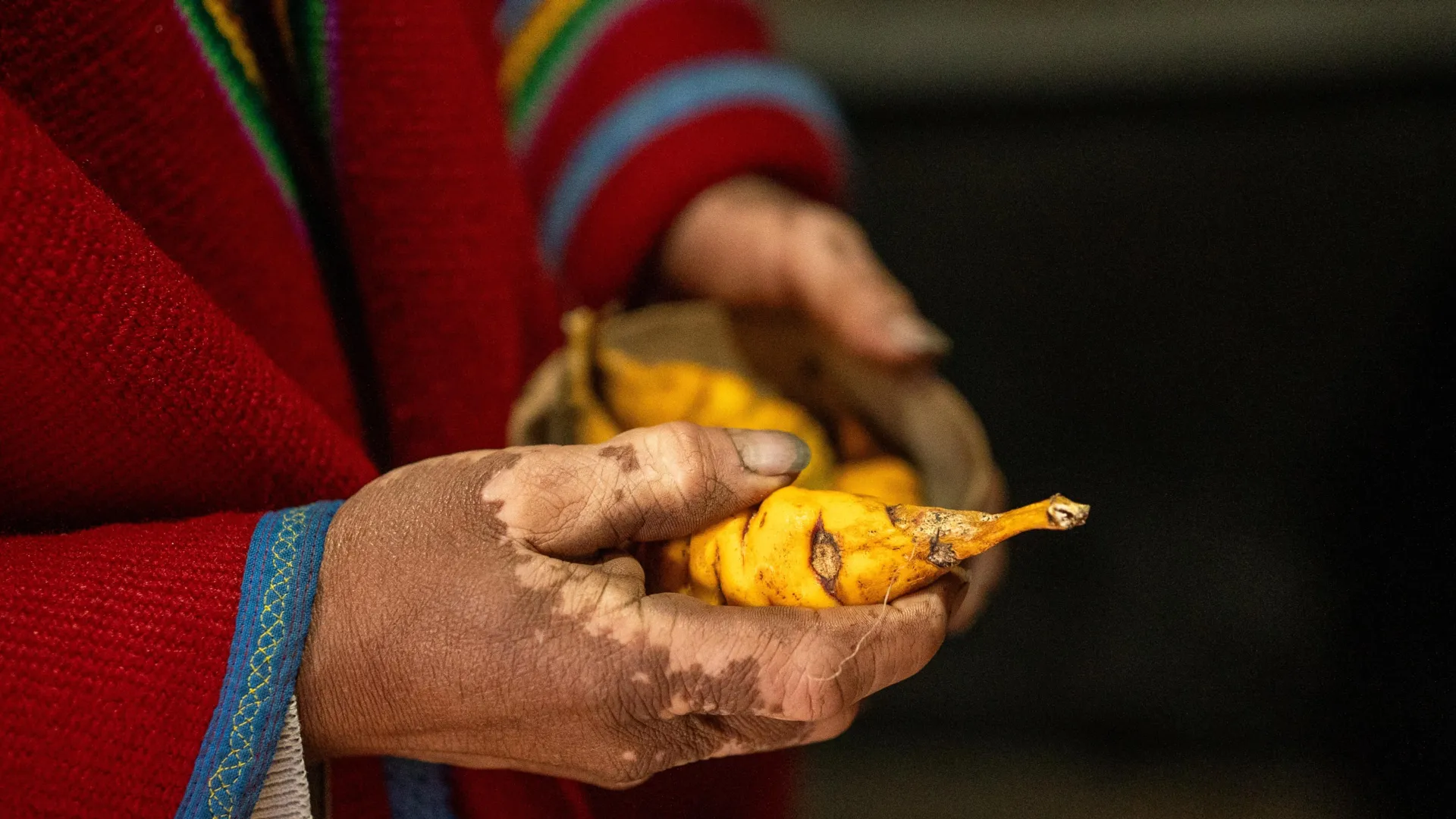 Potatoes May Have Driven Genetic Change in Indigenous Andeans