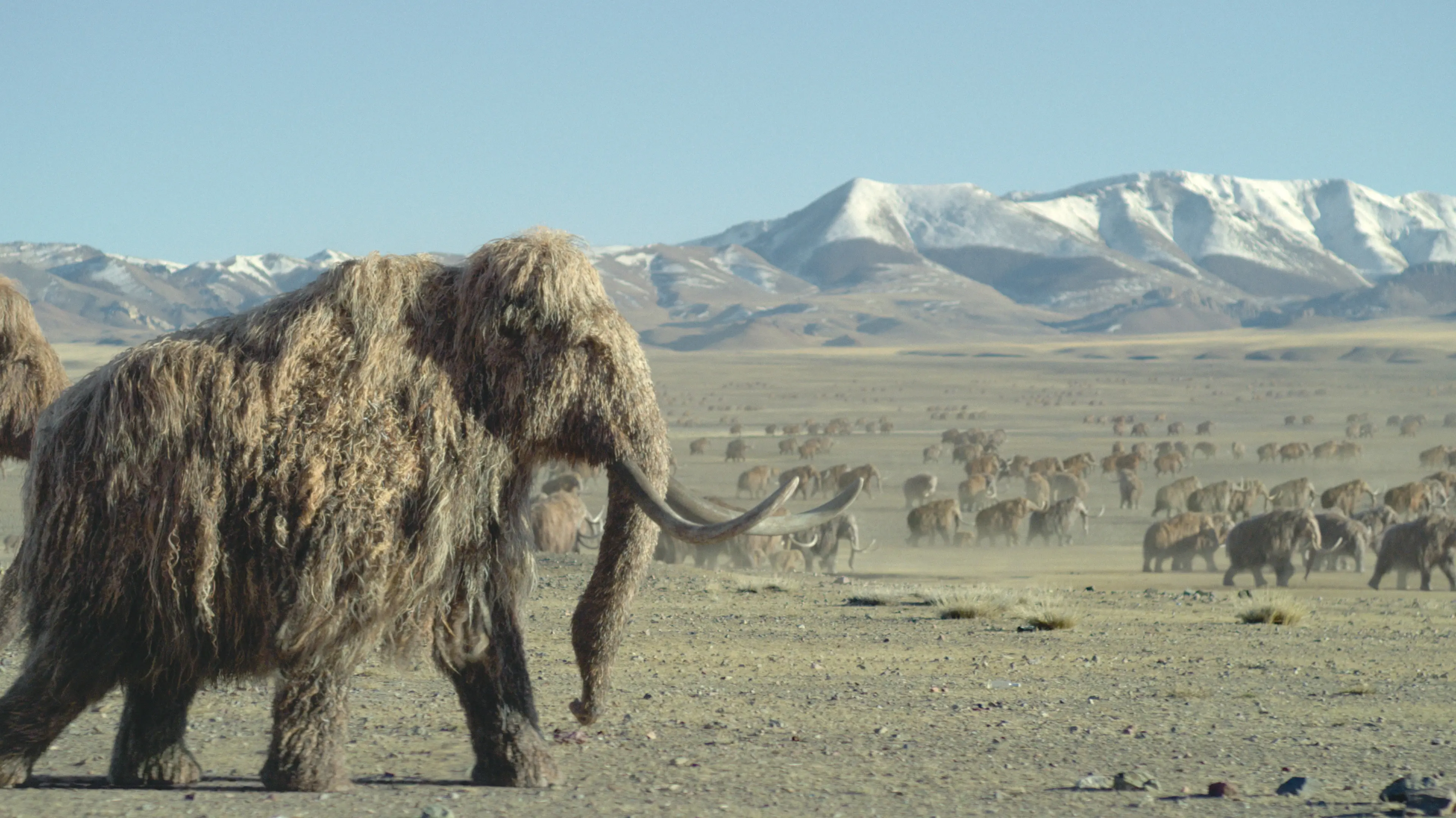 ‘Prehistoric Planet: Ice Age’ Soundtrack Features Hans Zimmer