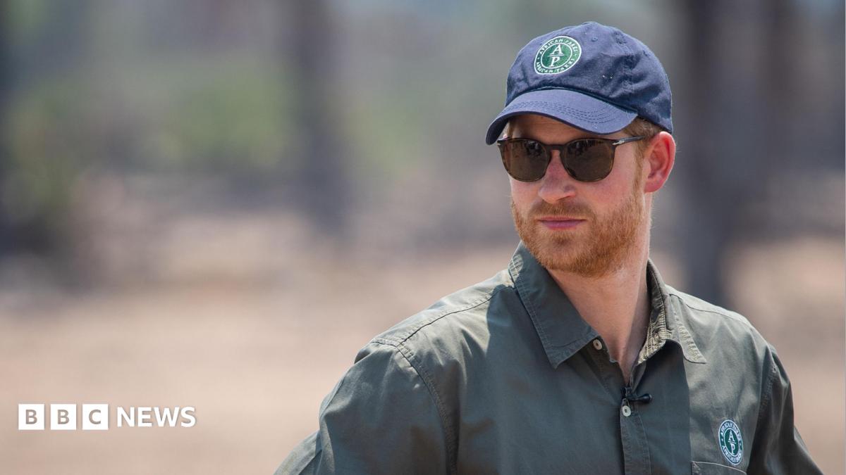 Prince Harry Steps Down From African Parks Board Amid Human Rights Concerns