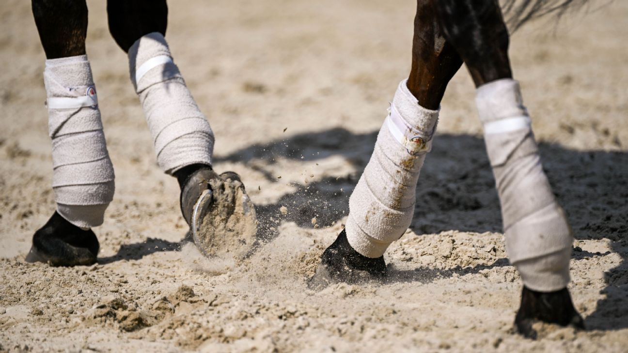 Professor Charged With Accessing Private Horse Data