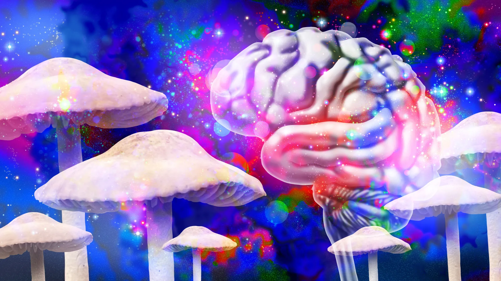 Psilocybin May Cause Lasting Brain Changes