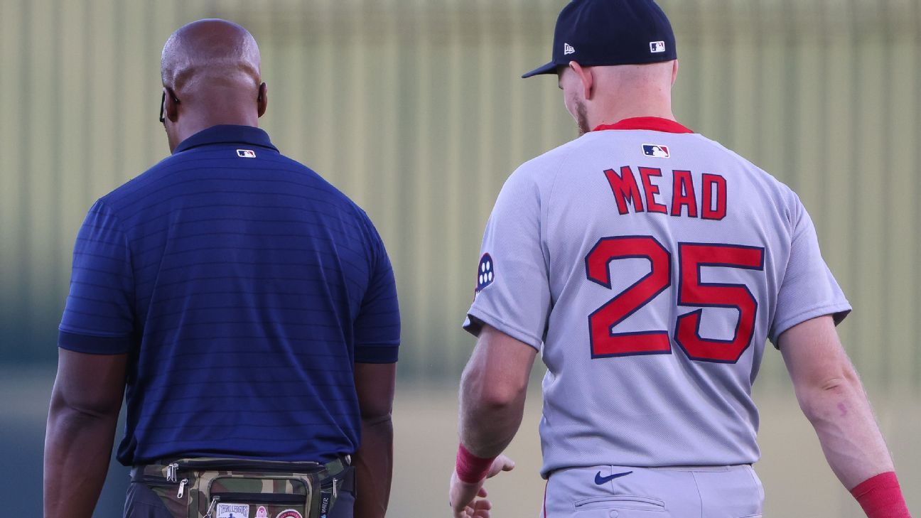 Infielder de los Medias Rojas, Curtis Mead, se fractura la muñeca en su debut