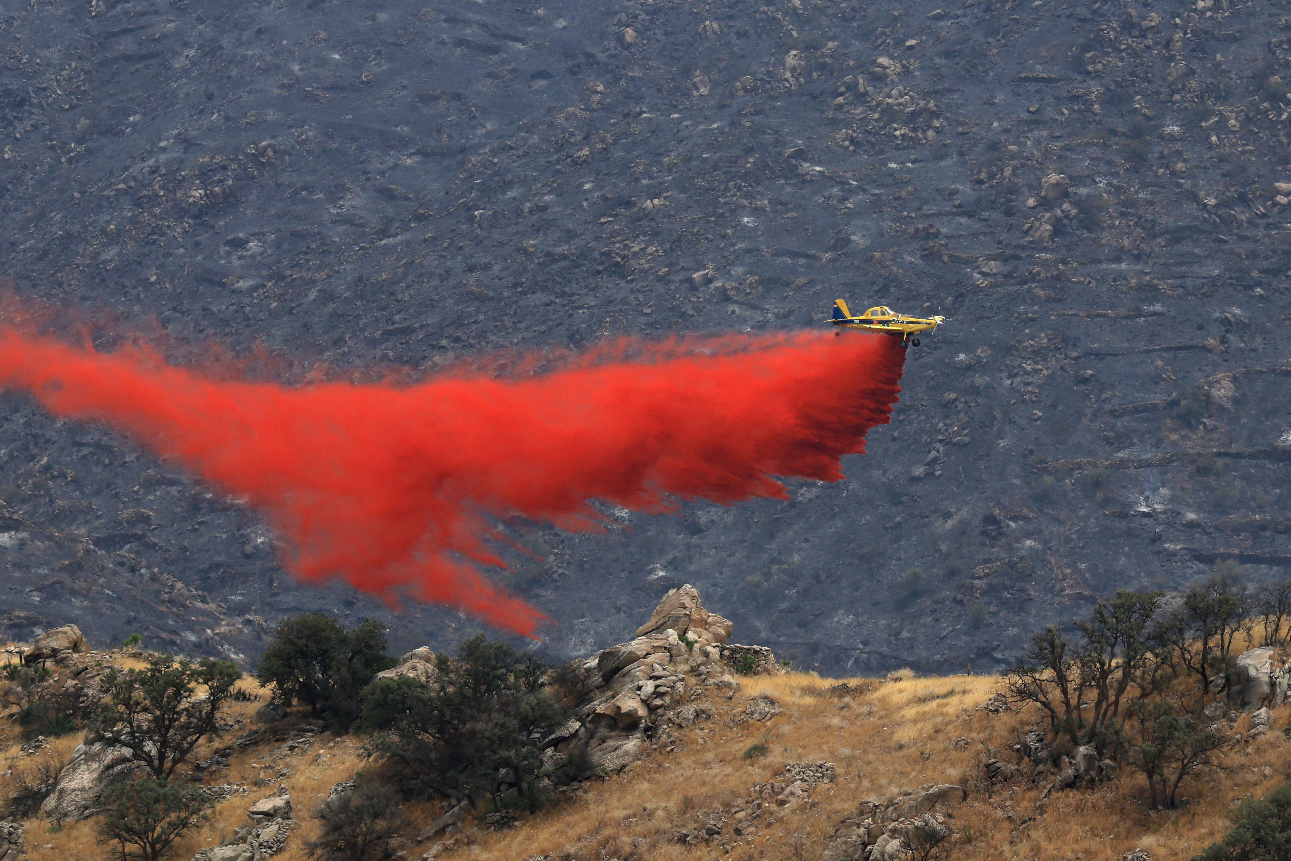 Regreso de Evacuados y Estabilización del Incendio Forestal en Los Gallardos