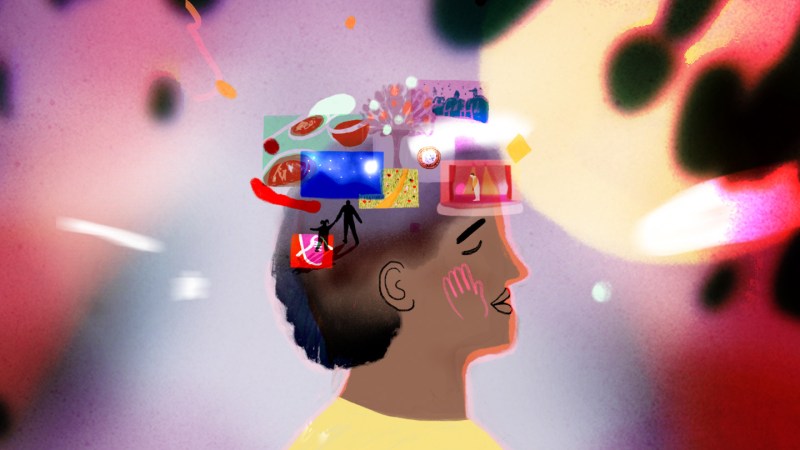 Research Indicates Photographic Memory Is Not a Human Capability