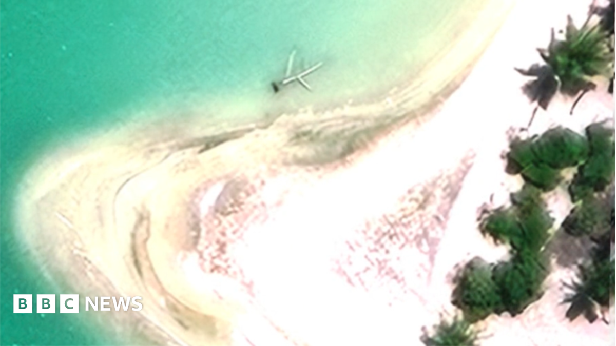 Forscher finden auf Nikumaroro-Insel wahrscheinlich Bäume, keine Flugzeugtrümmer