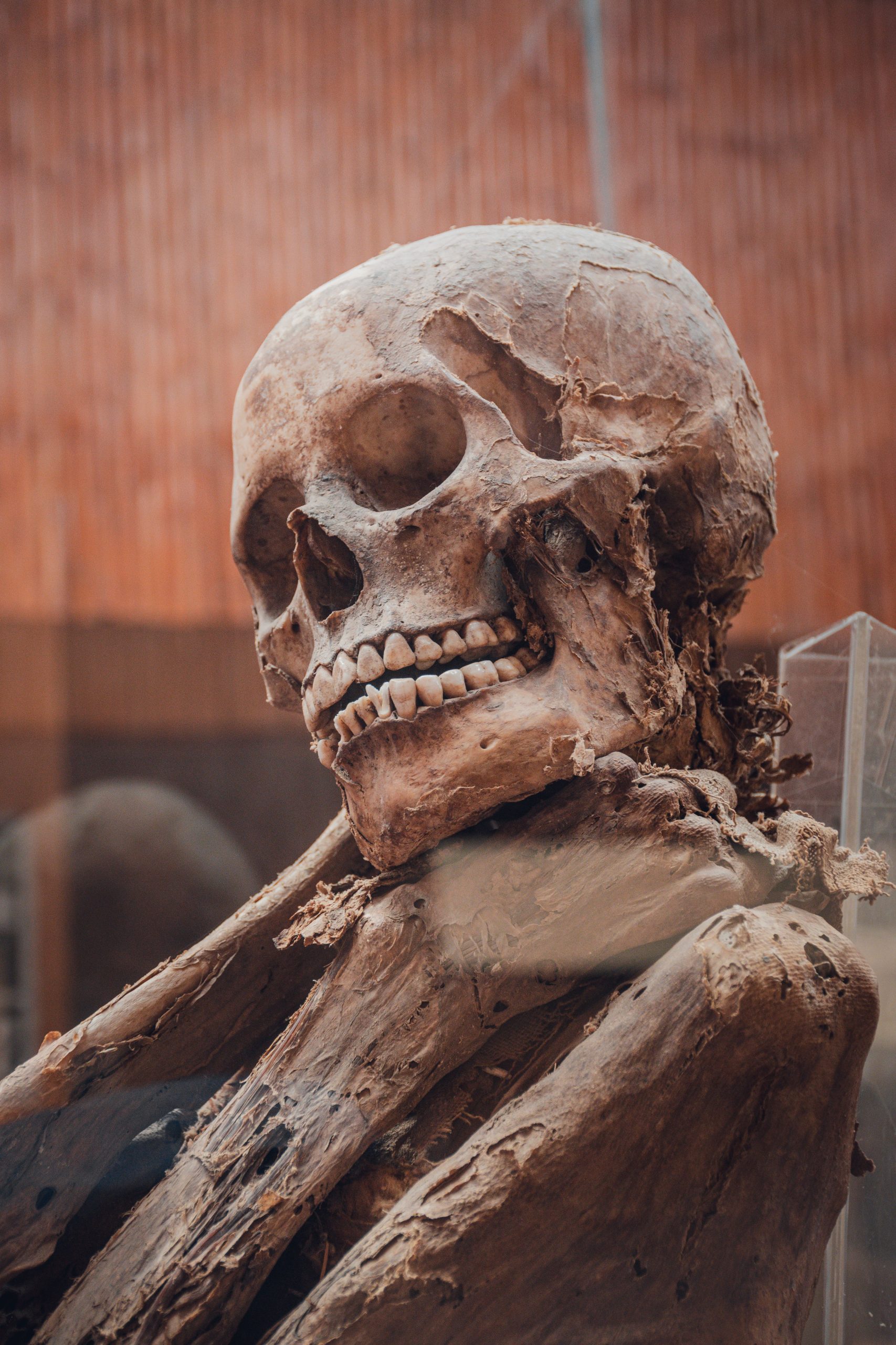 Investigadores planean elaborar cerveza utilizando levadura de la momia Ötzi