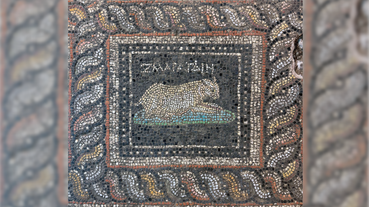 Roman Mosaic in Turkey Depicts Named Cat and Dog