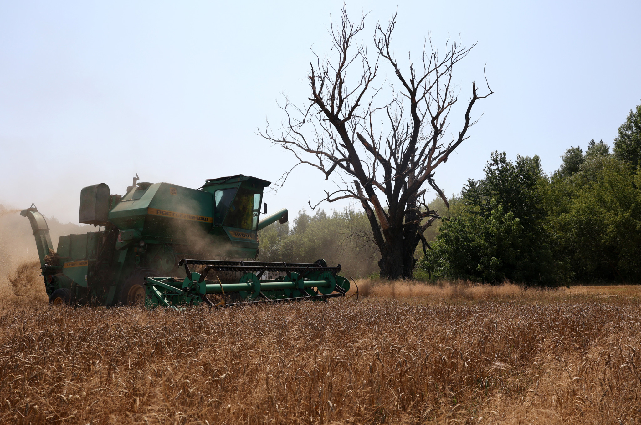 Russland greift ukrainische Landwirtschaft an, Getreideexporte gefährdet