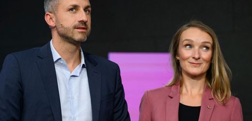 Sachsen-Anhalt: AfD-Kritik am BSW und Tourismus-Bedenken nach Wahlerfolg