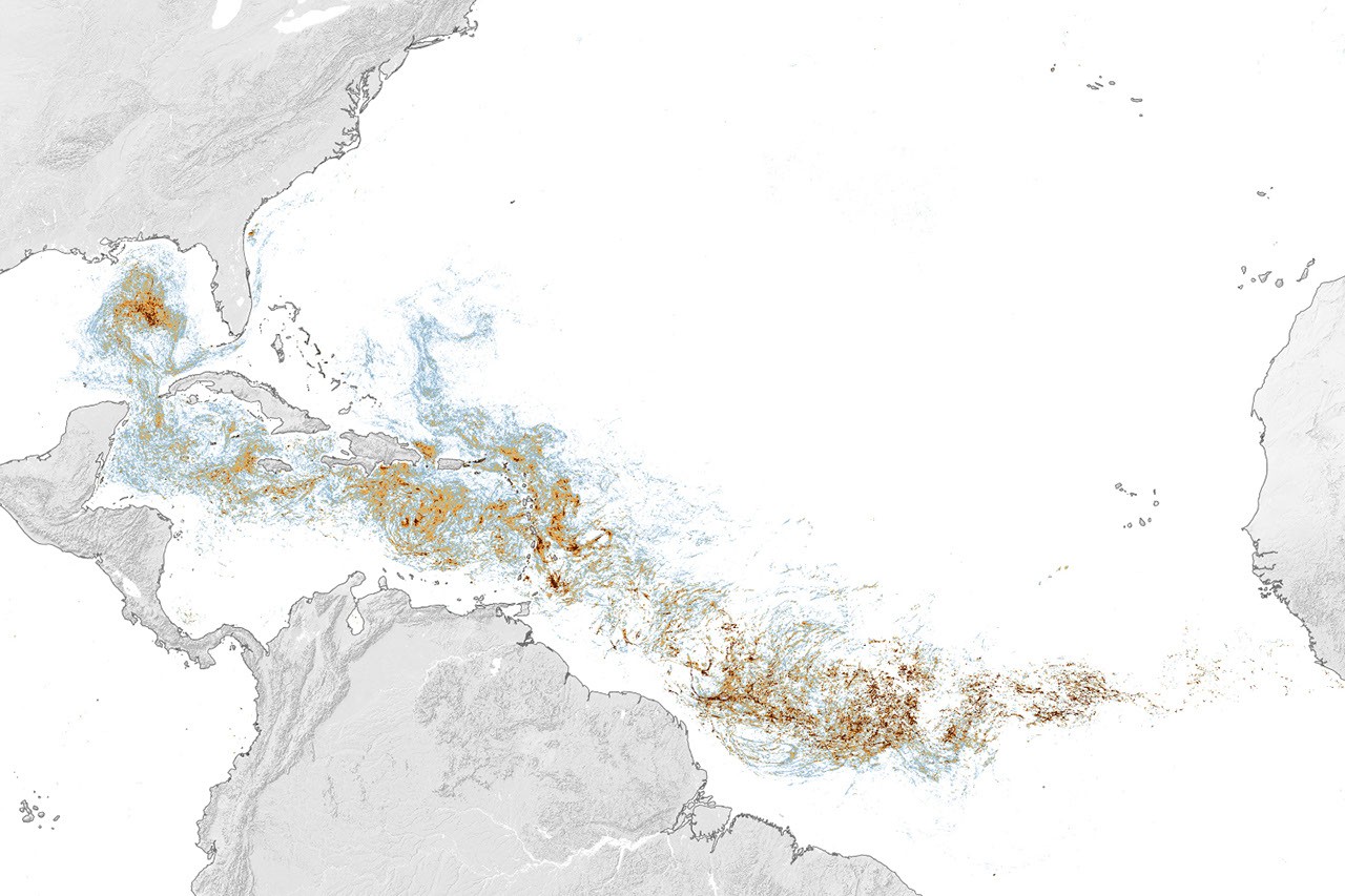 Sargassum Levels Reach Near-Record Highs in Atlantic