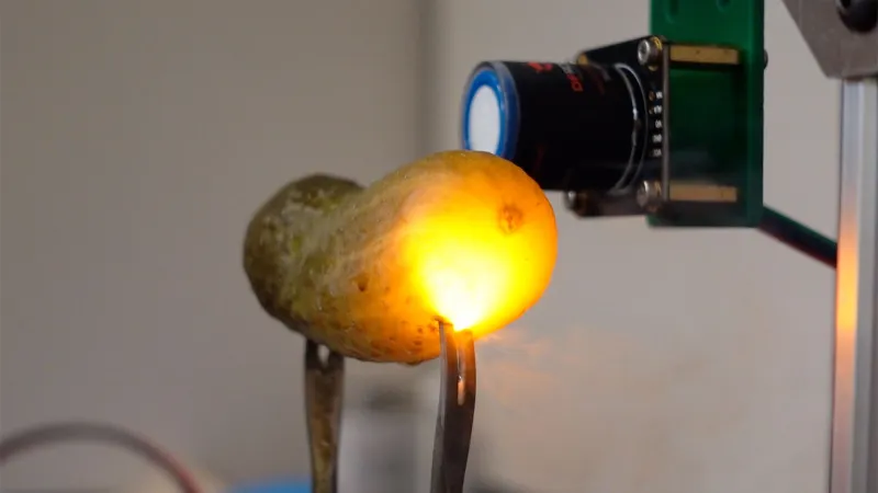 Science Explains Why Pickles Glow When Plugged In