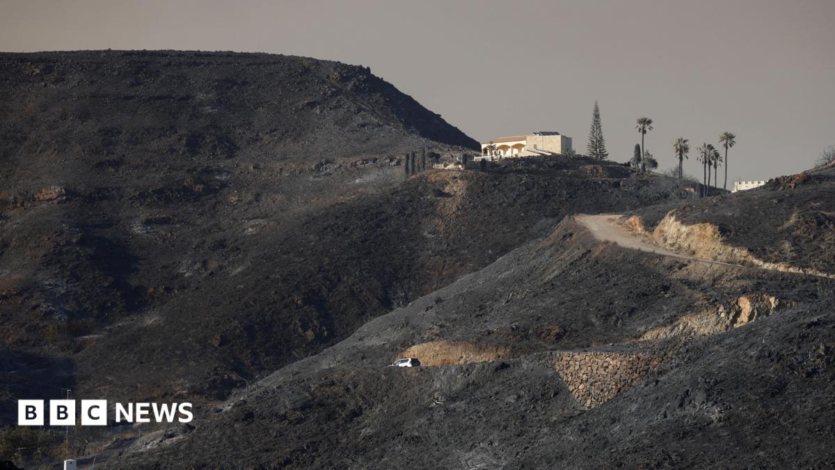 Seven Britons Among Thirteen Killed in Spain Wildfires