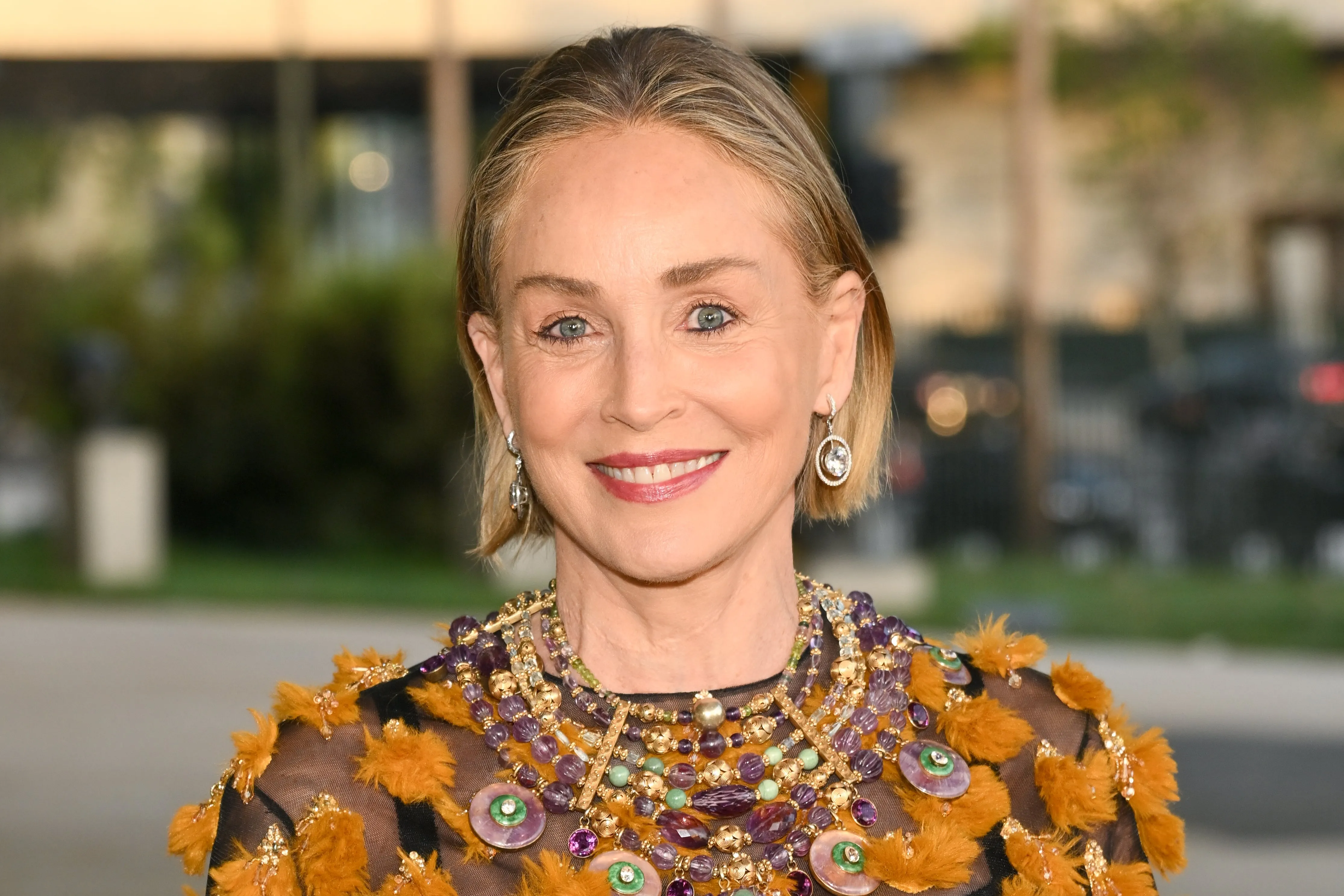 Sharon Stone Stopped Stroke Medication, Quit Weed
