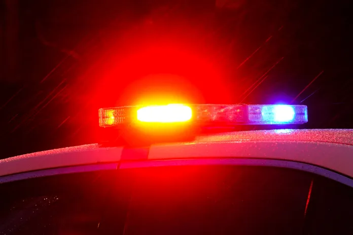 Shooting at Michigan Mall Leaves Two Dead