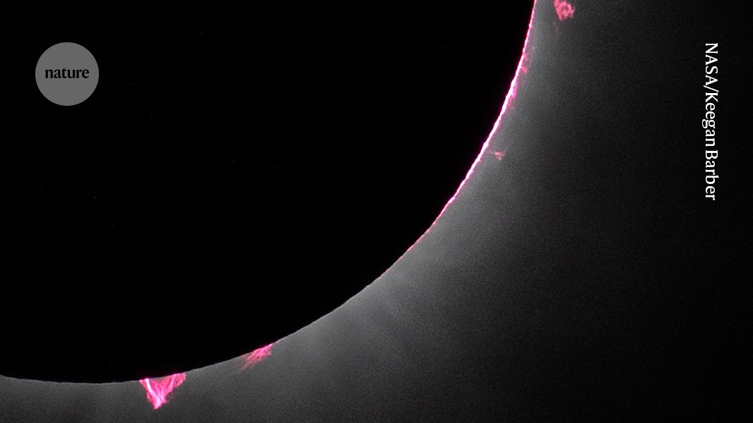 Solar Eclipse to Aid Research on Sun’s Magnetic Field