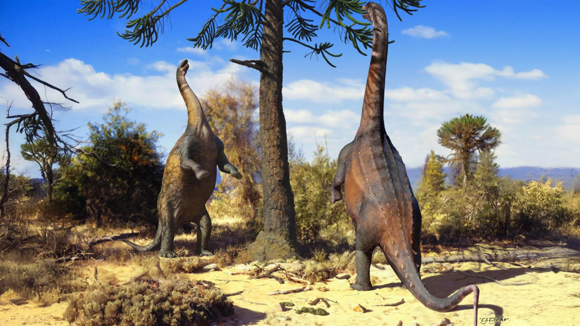 Some Dinosaurs Could Stand on Hind Legs Due to Strong Bones
