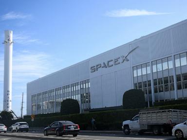 SpaceX Revenue Jumps 161% as AI Business Gains Traction