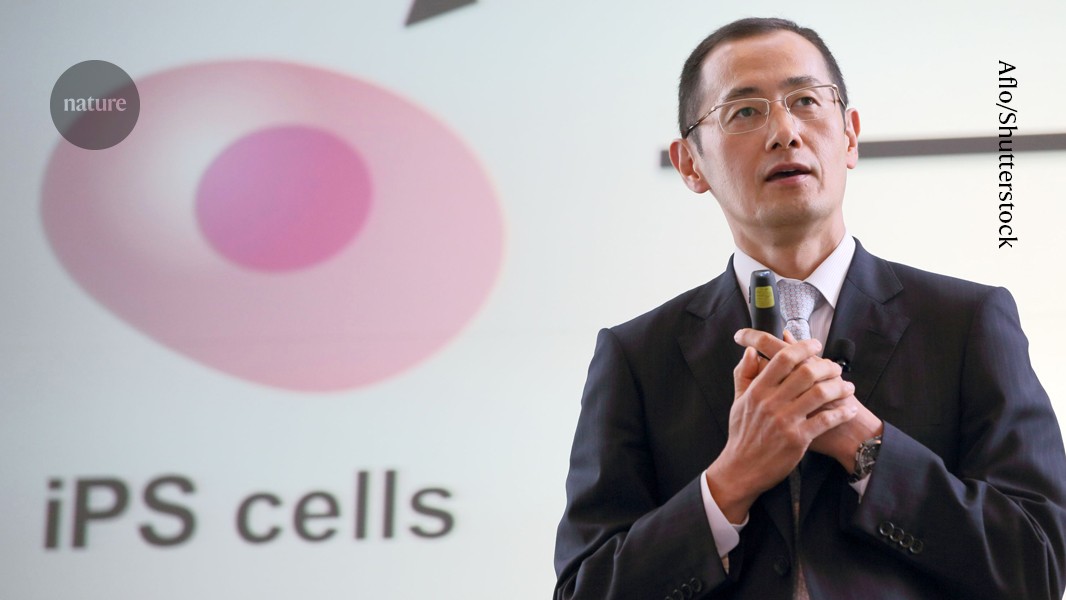 Stem Cell Therapy Advances Require Public Trust