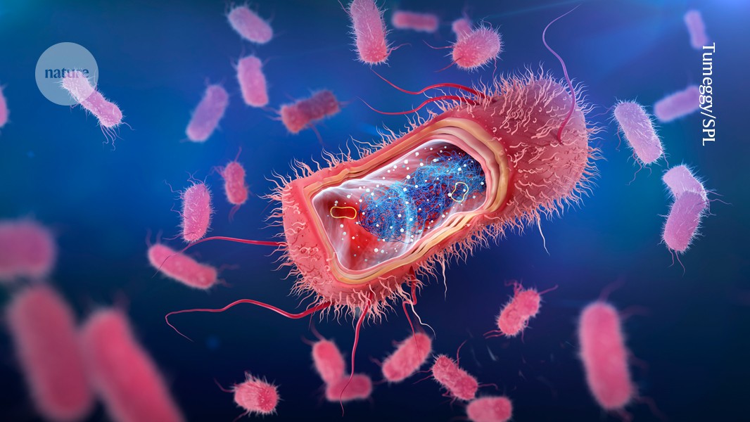 Study Identifies Enzyme Anchoring Bacterial Membranes