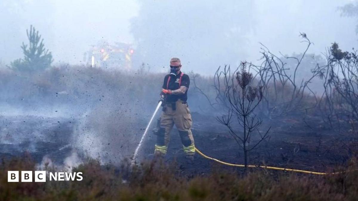 Suffolk Wildfire Stabilizes Near Nuclear Plant After 24 Hours