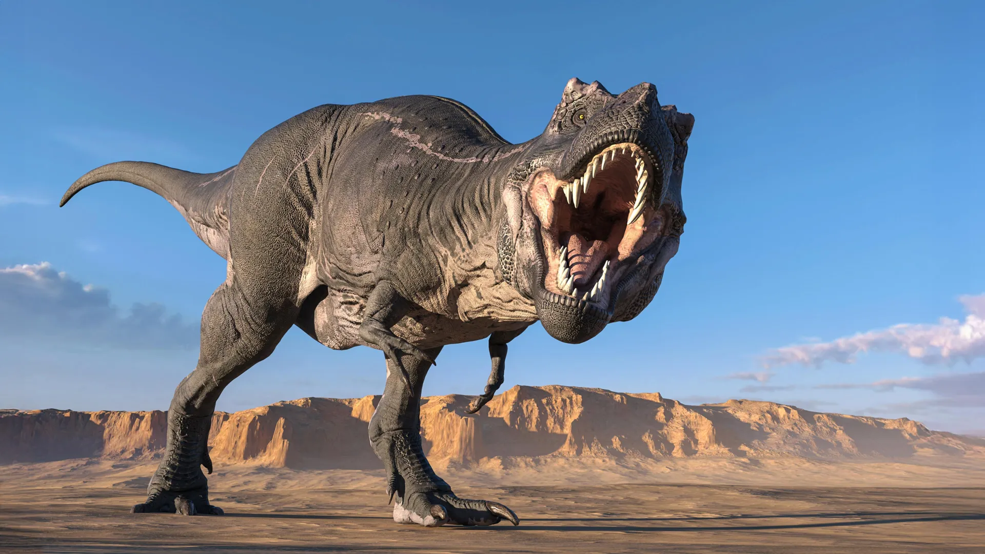 T. rex Body Temperature Estimated at 97°F