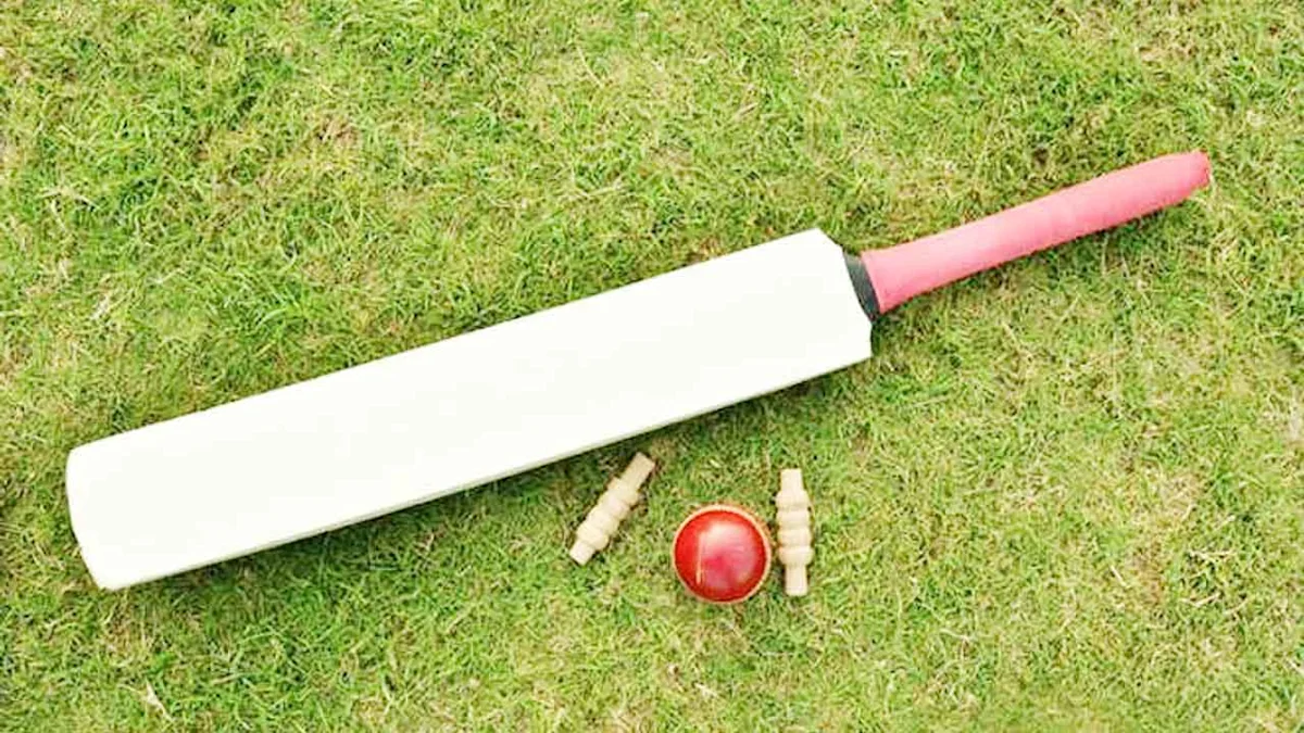 Teen Cricketer Dies by Suicide