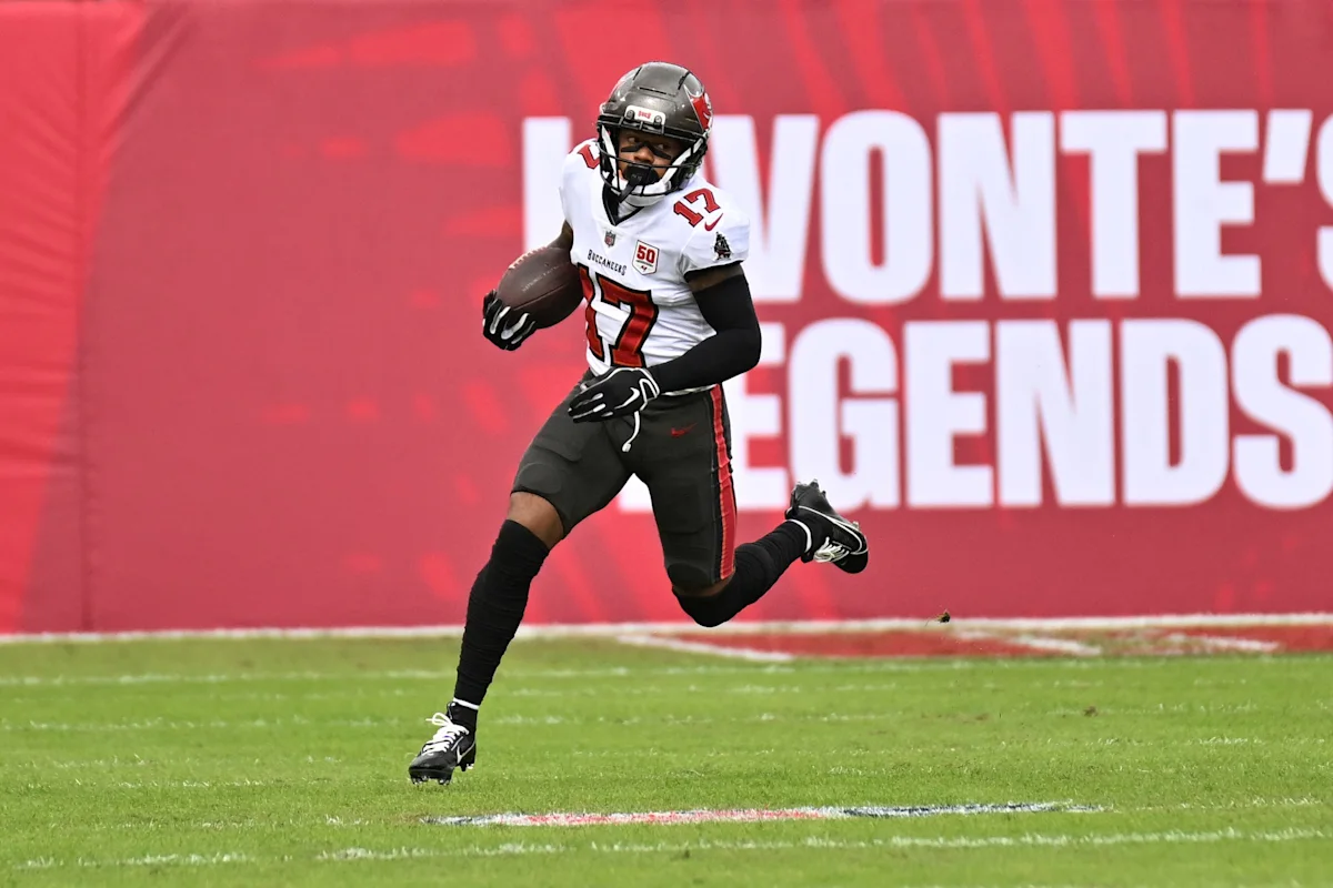 Texans Verpflichten Erfahrene Receiver Nach Verletzung
