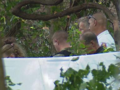 Three Fatalities Reported After Private Plane Crash in Maryland