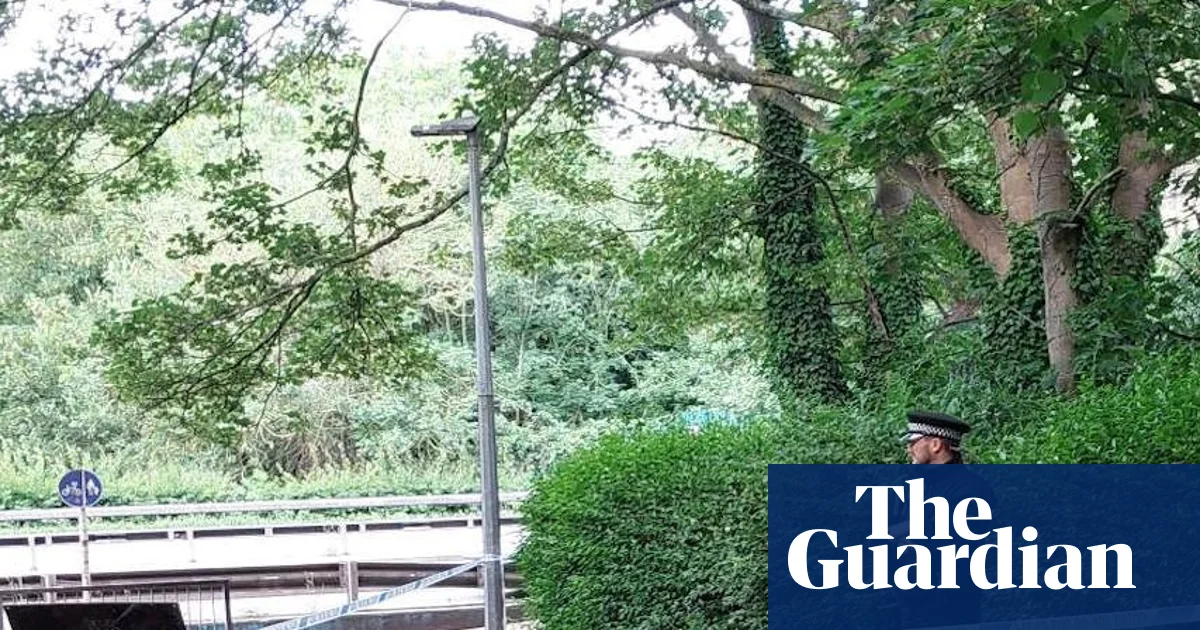 Three Teenagers Arrested in Connection with Death of Man in Essex Park
