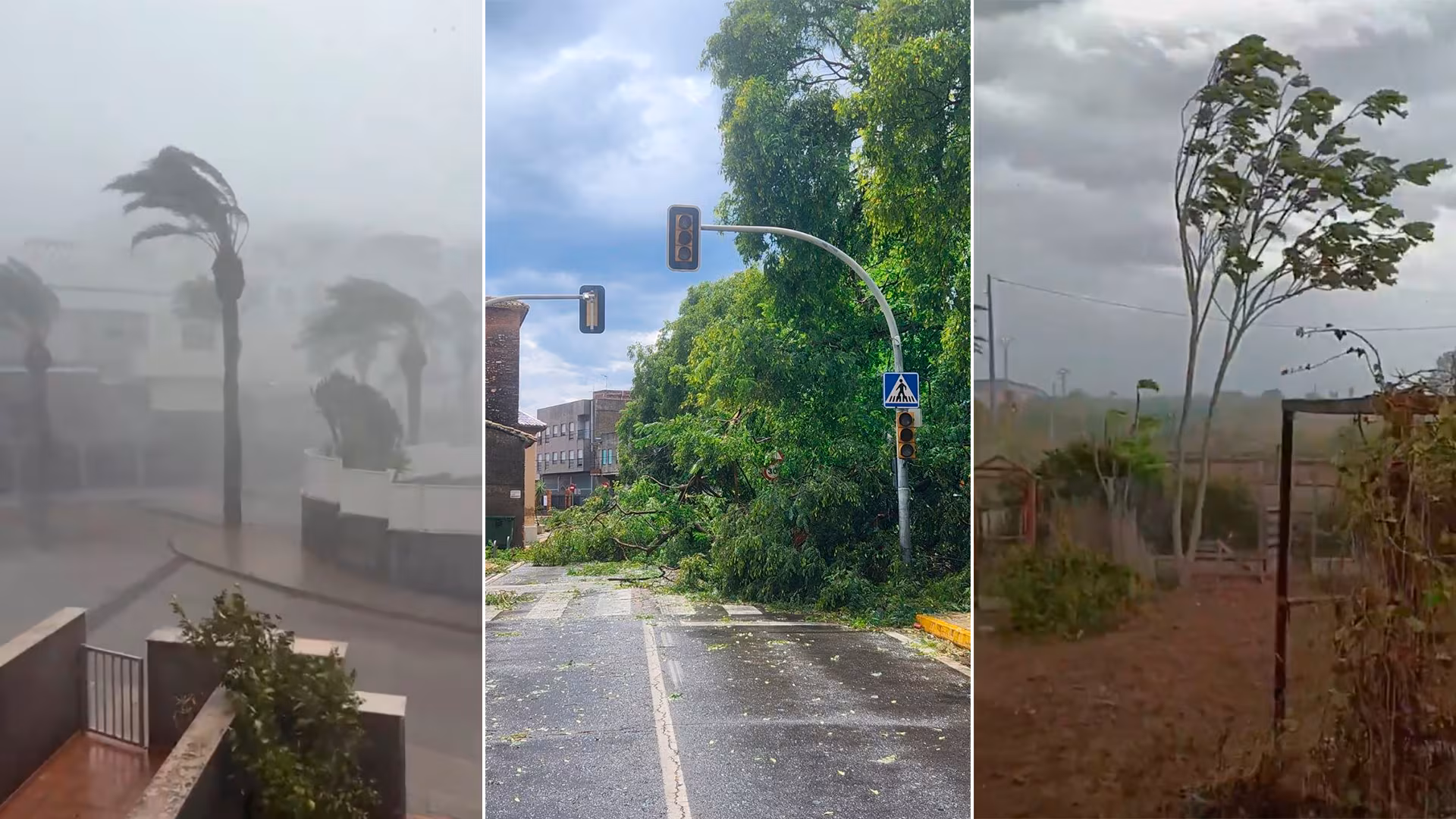 Tormentas y fuertes vientos causan daños en la provincia de Valencia