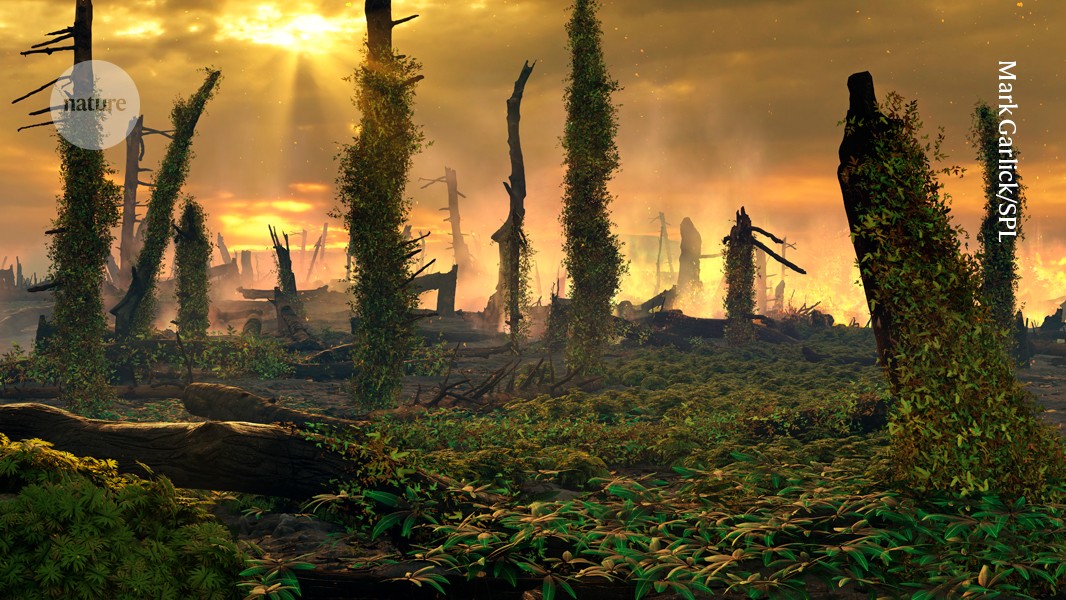 Triassic Wildfires Ravaged Europe, Coinciding With Mass Extinction