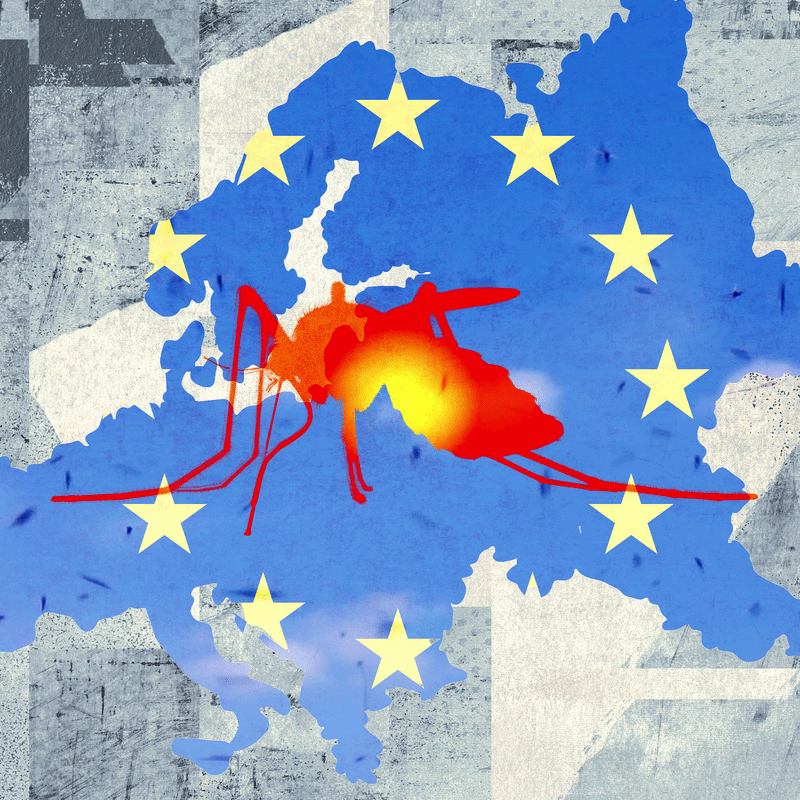 Tropische Krankheiten nehmen in Europa aufgrund des Klimawandels zu