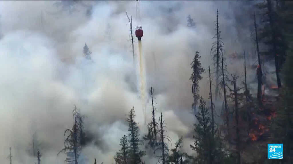 Trump Announces Potential Tariffs Linked to Canadian Wildfire Smoke