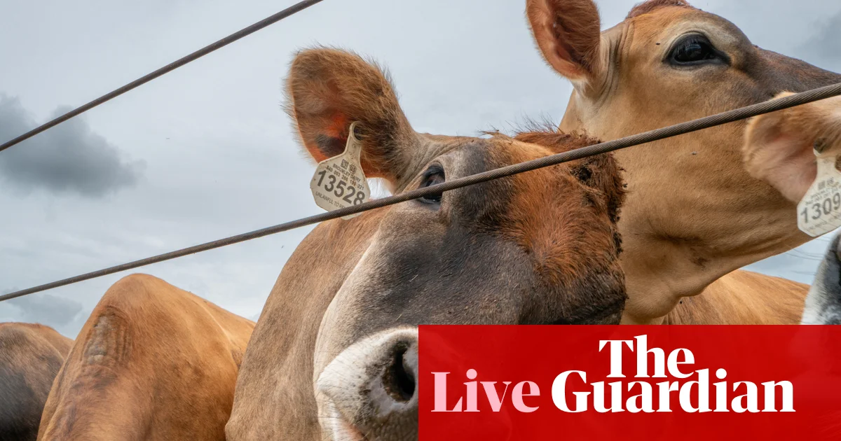 Trump Authorizes Rancher Processing Amid Beef Tariff Backlash, Faces Legal Challenge to Mail Voting Plan