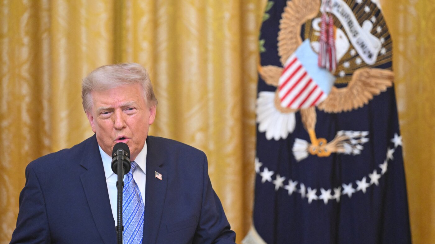 Trump Claims Evidence of Election System Vulnerabilities, Declassifies Documents