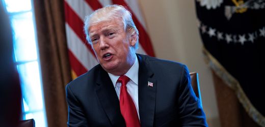 Trump verbietet bestimmte ausländische Technik im US-Stromnetz