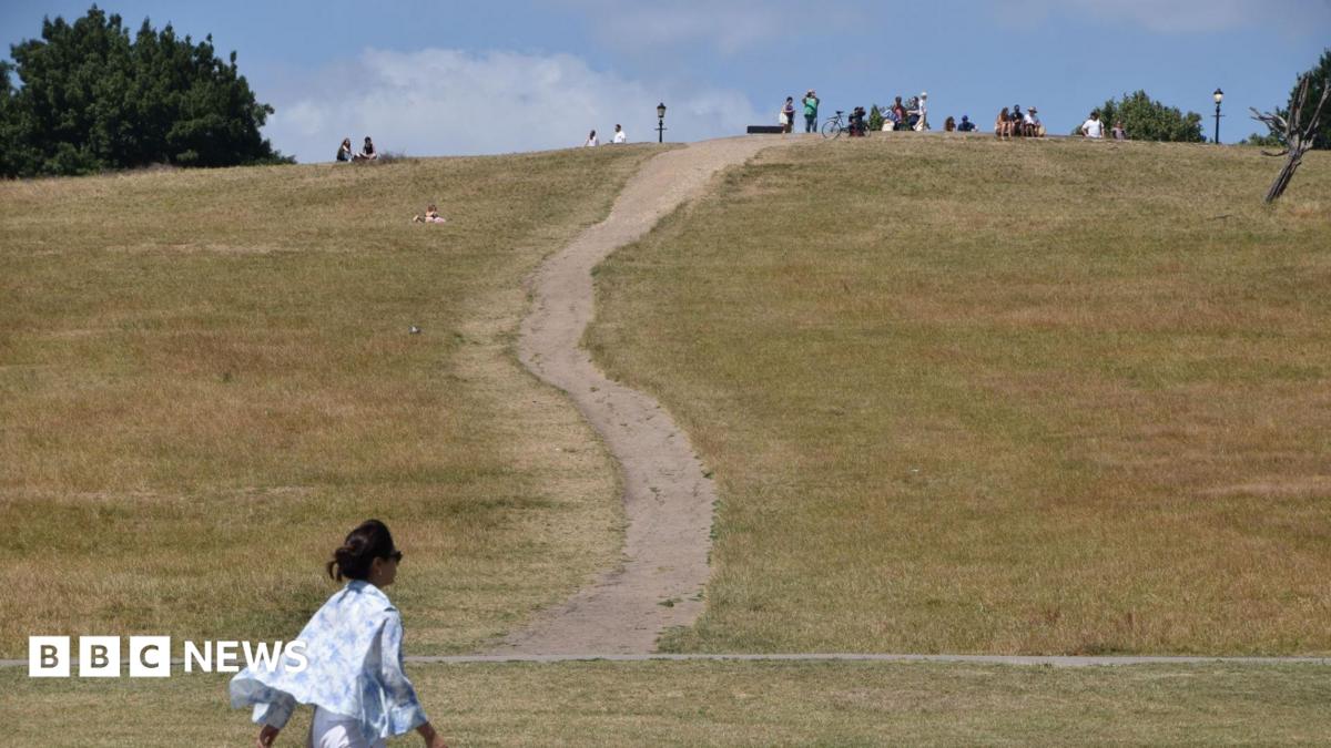 UK Heatwaves Linked to Nearly 3,000 Deaths in May and June