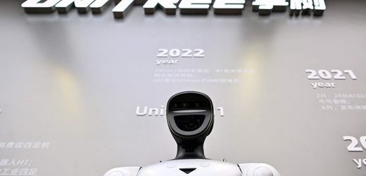 Unitree Robotics verzeichnet über 600 Prozent Kursplus beim Börsengang