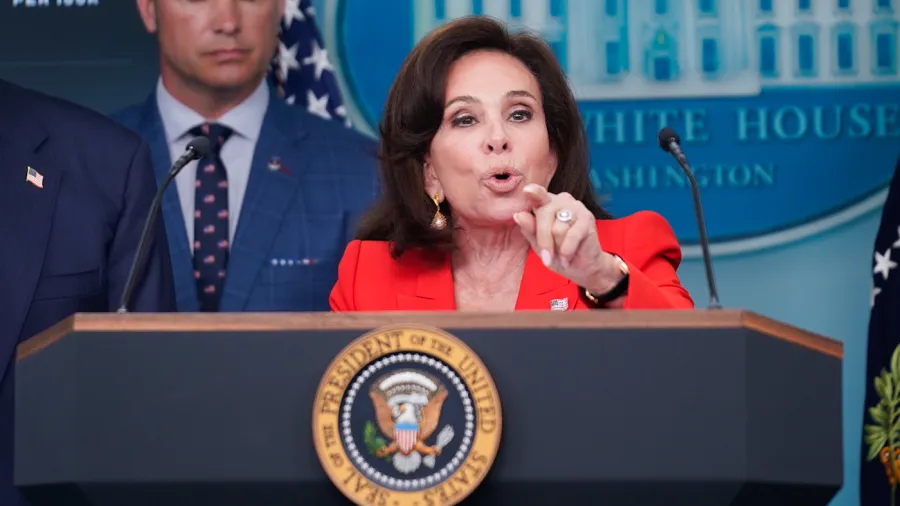 U.S. Attorney Pirro Announces Prosecution of Reflecting Pool Vandals; Trump Cites Vandalism for Renovation Issues