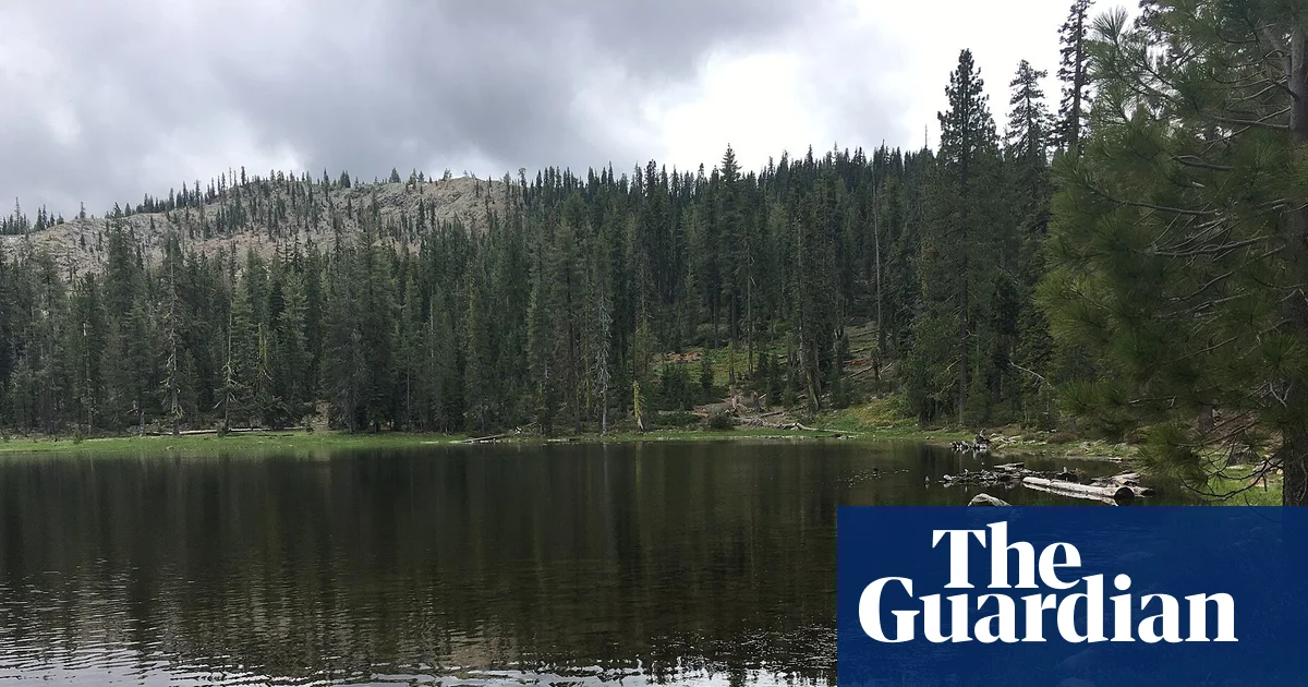 US Forest Service Employees Released After Hostage Situation in Northern California
