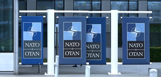 USA fordern von Nato-Partnern Klarheit über Verteidigungspolitik und loben Deutschland