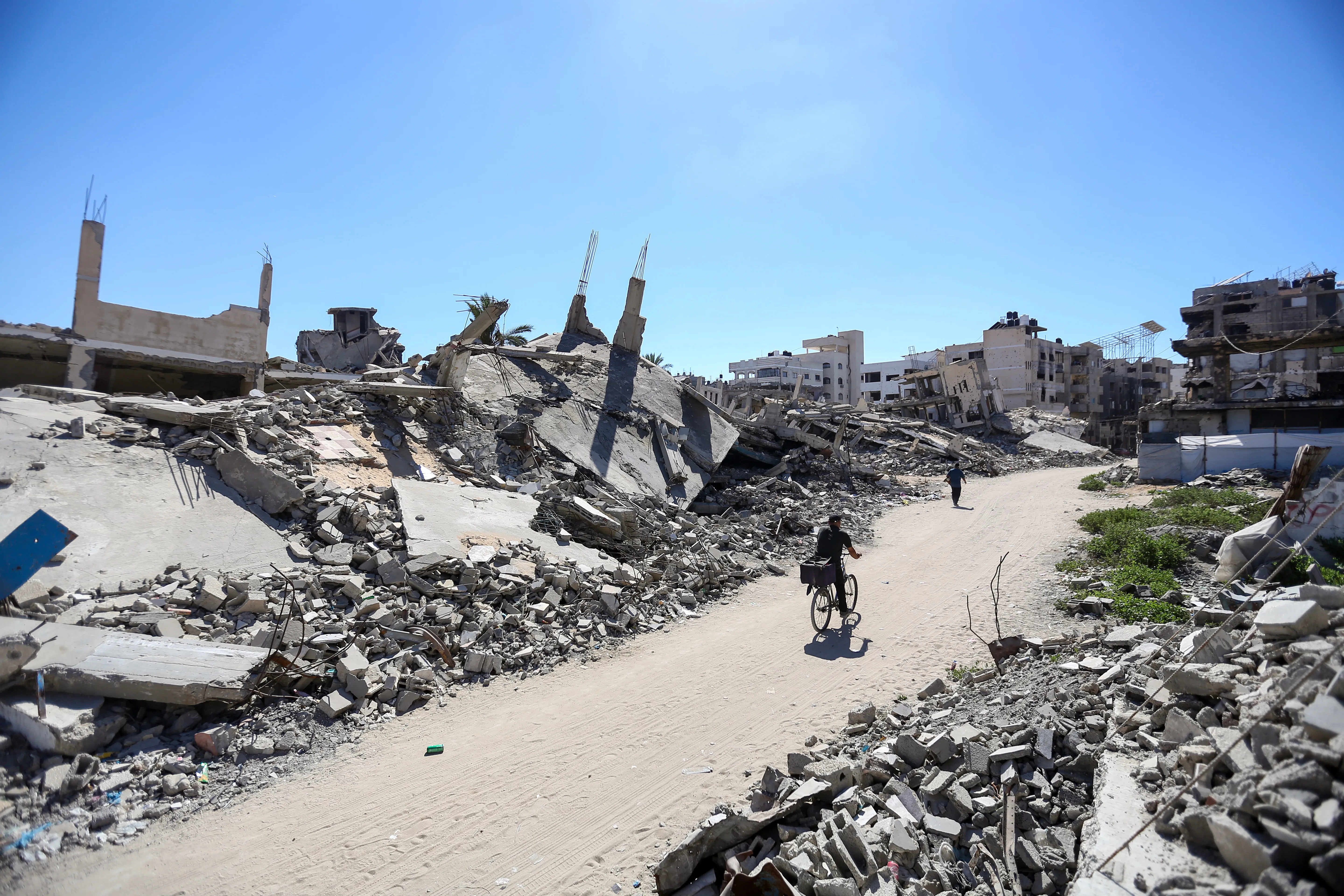 Venice Film Festival Faces Calls for Pro-Palestine Action